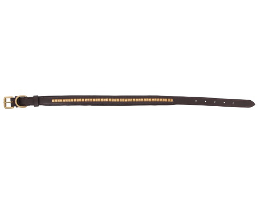Cavallino Brass Clincher Leather Dog Collar image 1